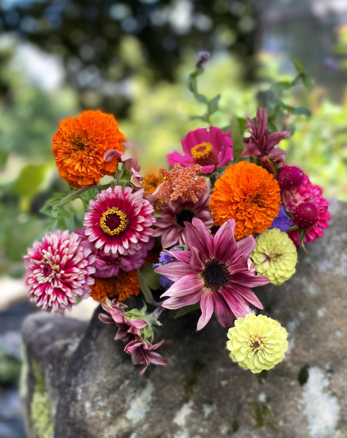 BOTH Spring &amp; Fall Bouquet Subscription