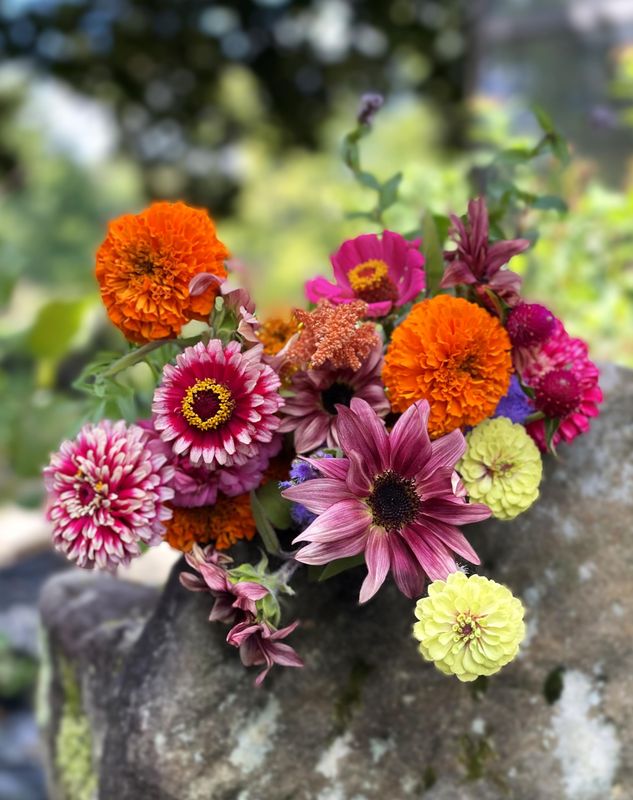 BOTH Spring &amp; Fall Bouquet Subscription