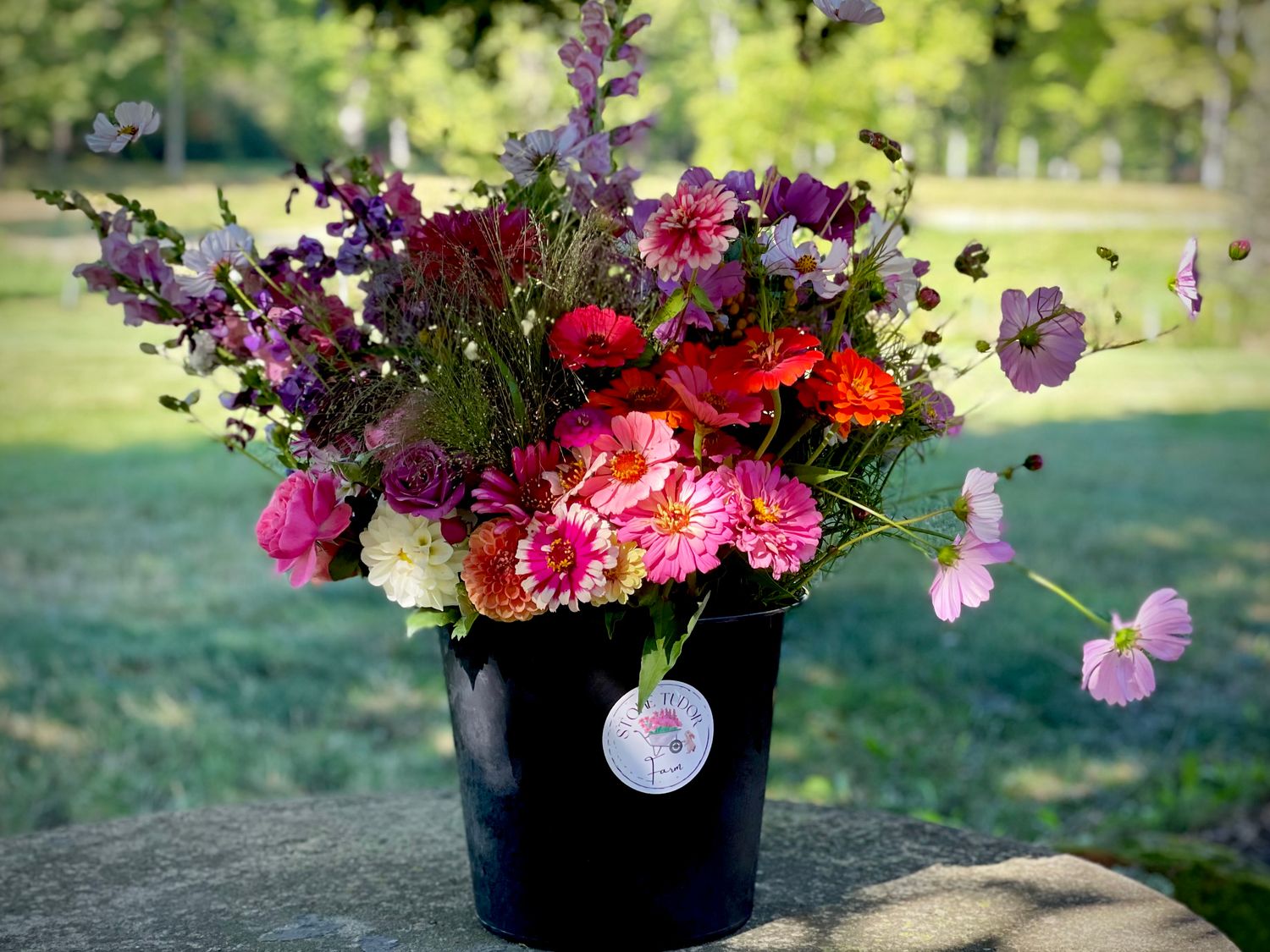 BOTH Spring &amp; Fall Designer Special