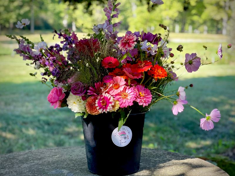 BOTH Spring &amp; Fall Designer Special