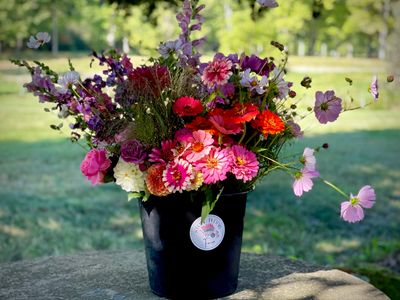 BOTH Spring &amp; Fall Designer Special