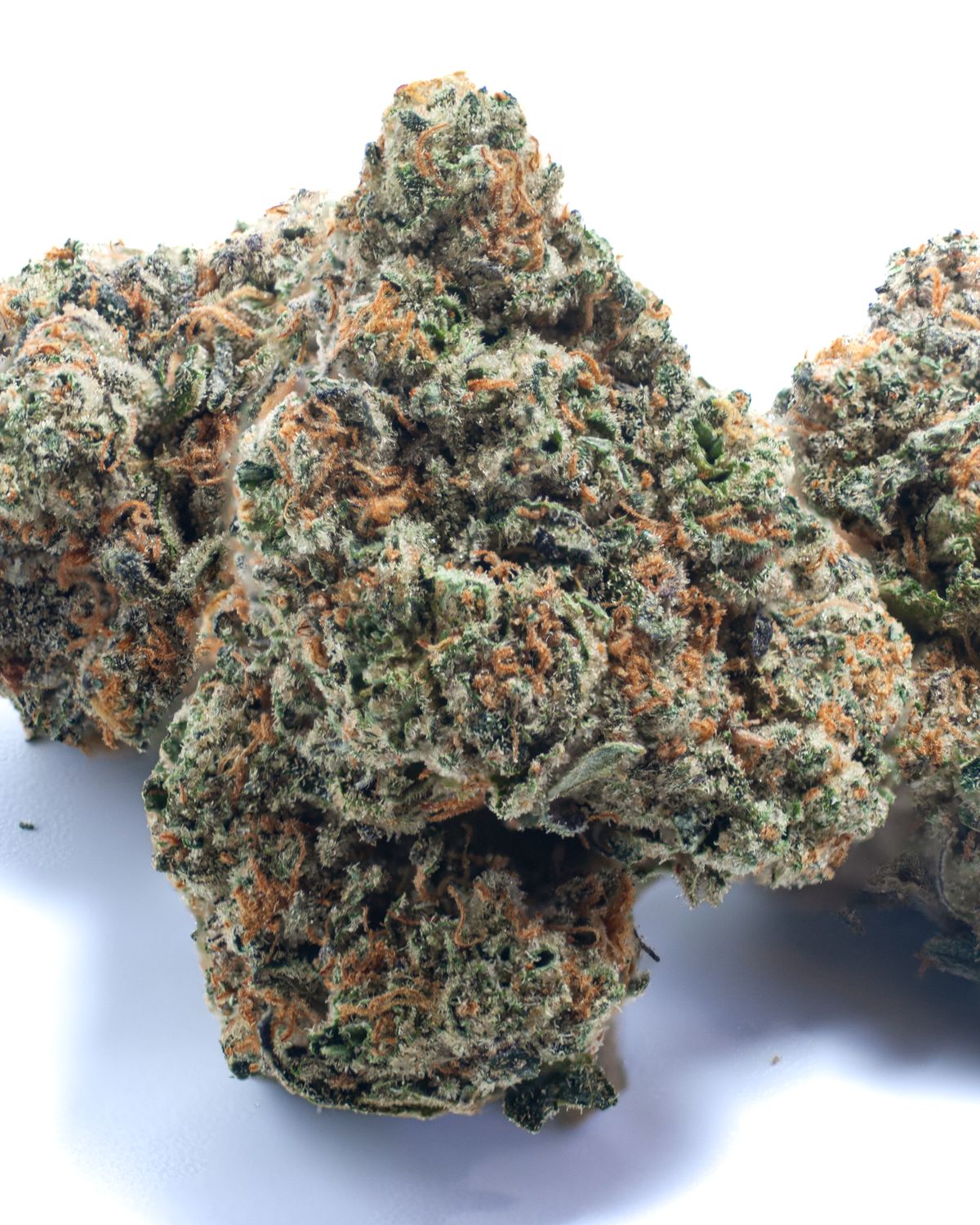 Pinyatti | 14 Grams