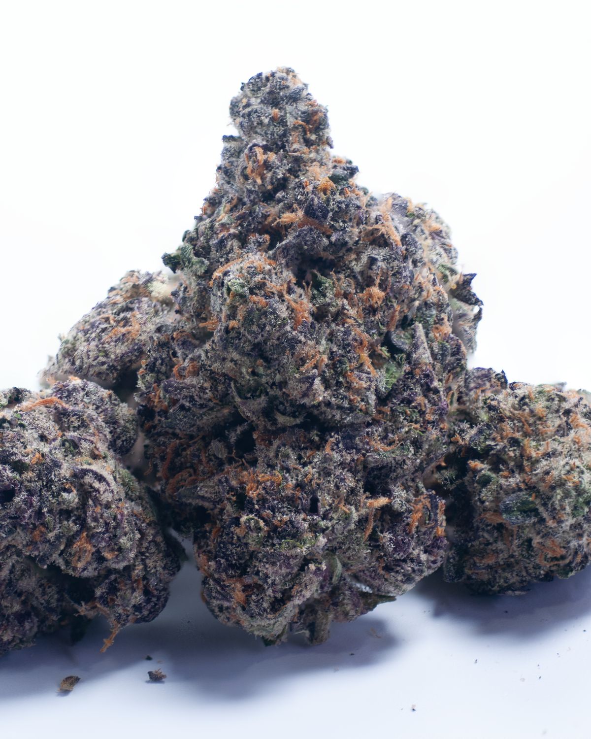 Black Out Cherry | 14 Grams