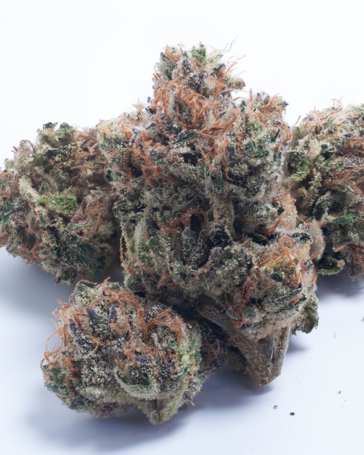 Zuper Plushers | 14 Grams