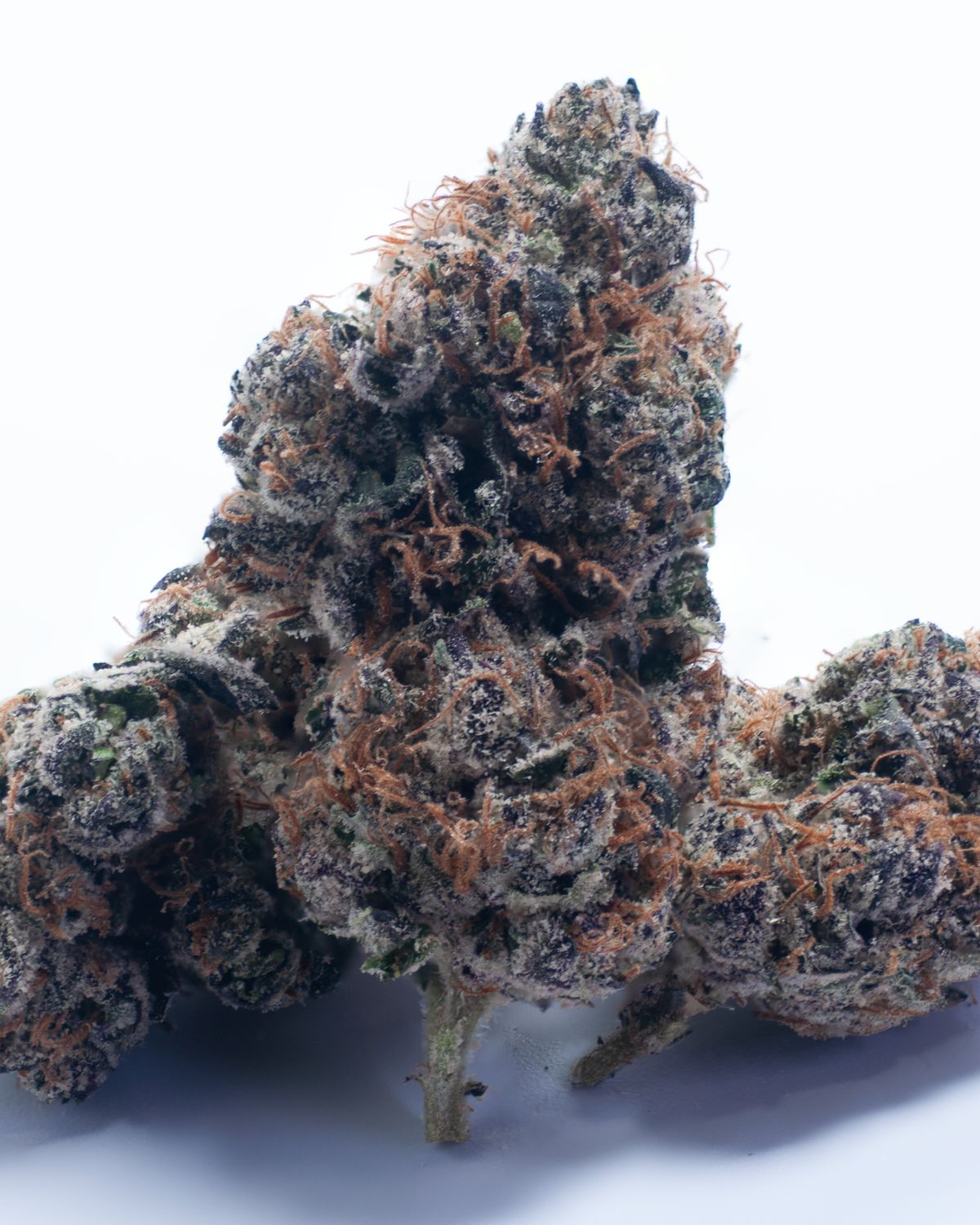 Double Runtz | 14 Grams