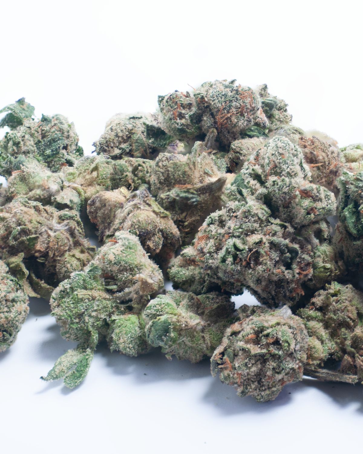 Gumbo | Smalls | 14 Grams