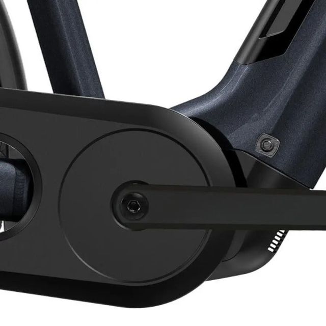 RALEIGH MOTUS 2026 (HUB)