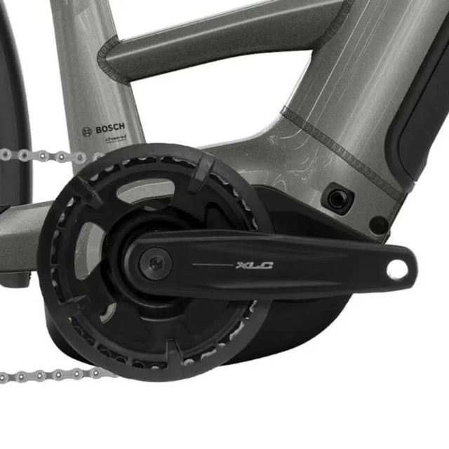 RALEIGH NOVUS 2026 LOW (DERAILLEUR)