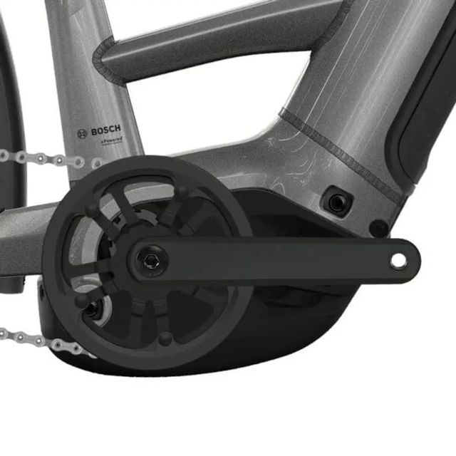 RALEIGH NOVUS 2026 LOW (HUB)