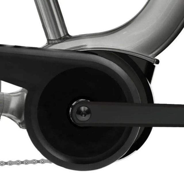 RALEIGH CAPTUS 2026 LOW