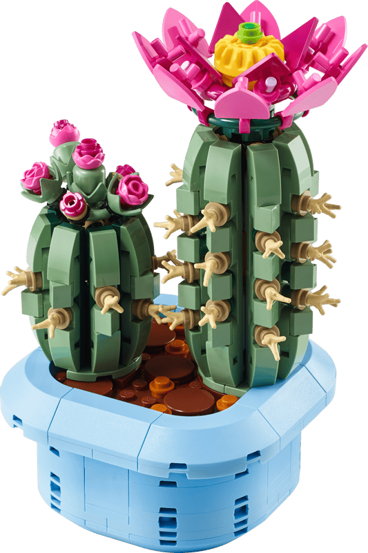 Flowering Cactus
