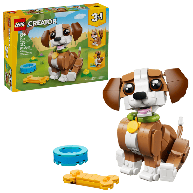 Cute Animals: Playful Puppy Dog
