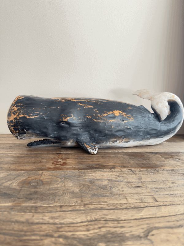 Wal Pottwal mittelgroß