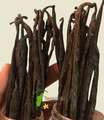 Vanilla TK (Bourbon)