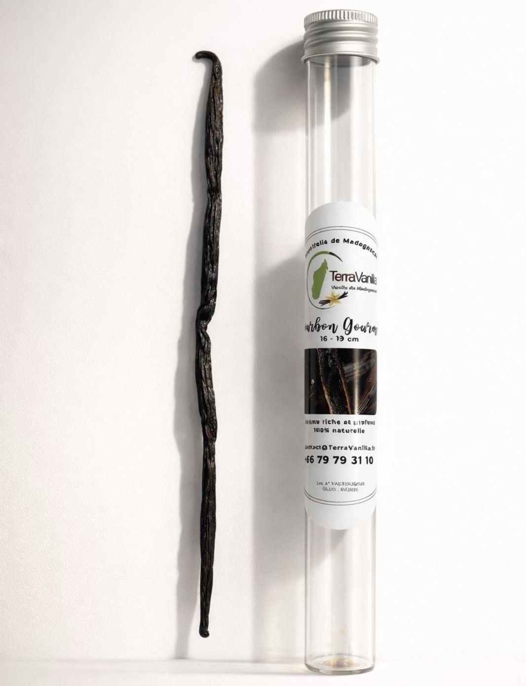 1 Bean - Gourmet Bourbon from Madagascar - Glass Tube (Set of 12) - Free label customization: 240 tubes.