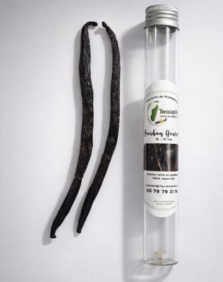 2 Beans - Gourmet Bourbon from Madagascar - Glass Tube (Set of 12) - Free label customization: 240 tubes.