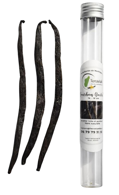 Madagascar Vanilla, Gourmet, 17-19 cm, 3 Pods (Glass Tube)
