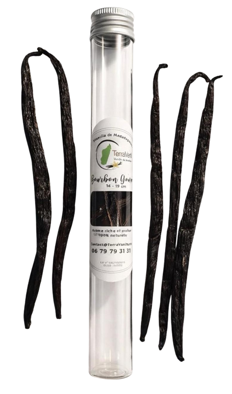 Madagascar Vanilla, Gourmet, 17-19 cm, 5 Pods (Glass tube)