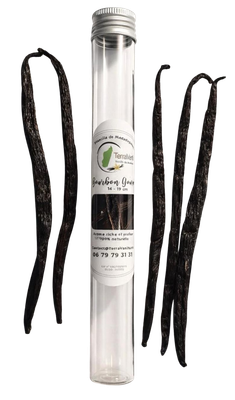 Madagaskar Vanille, Gourmet, 17-19 cm, 5 Schoten