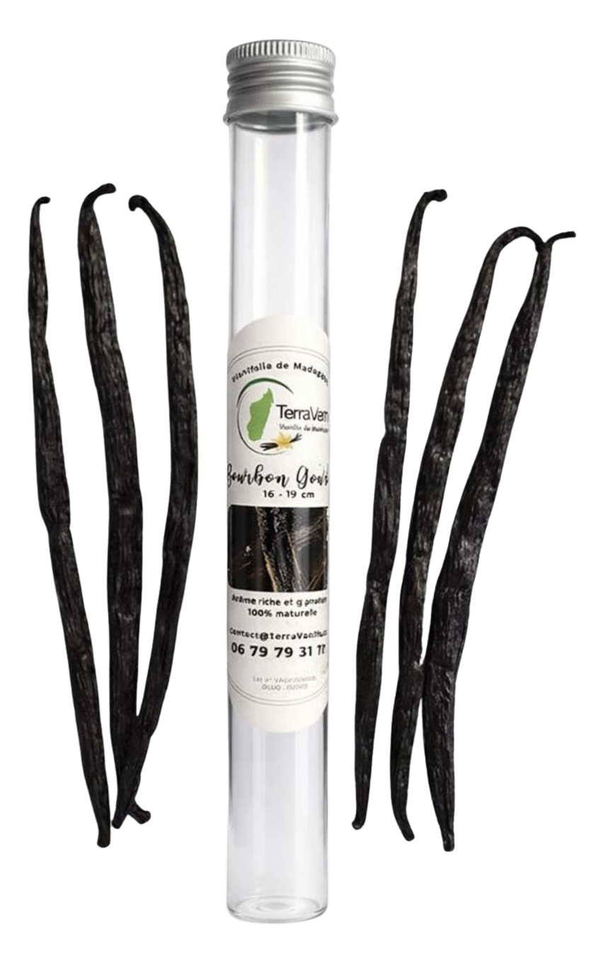 Madagascar Vanilla, Gourmet, 17-19 cm, 6 Pods (Glass tube)