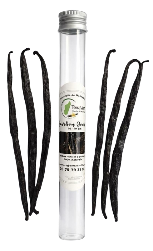 Madagascar Vanilla, Gourmet, 17-19 cm, 6 Pods (Glass tube)