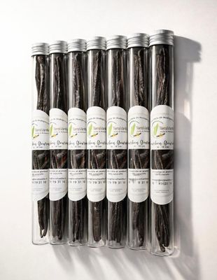 10 Gousses, Vanille de Madagascar, Gourmet, 17-19 cm, Tube (Verre) | MOQ : 6 pcs. | Personnalisation étiquette offerte > 50 pcs.