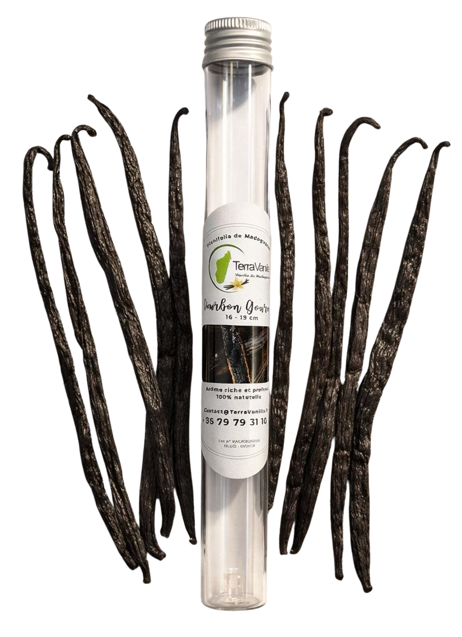Madagascar Vanilla, Gourmet, 17-19 cm, 10 Pods (Glass Tube)