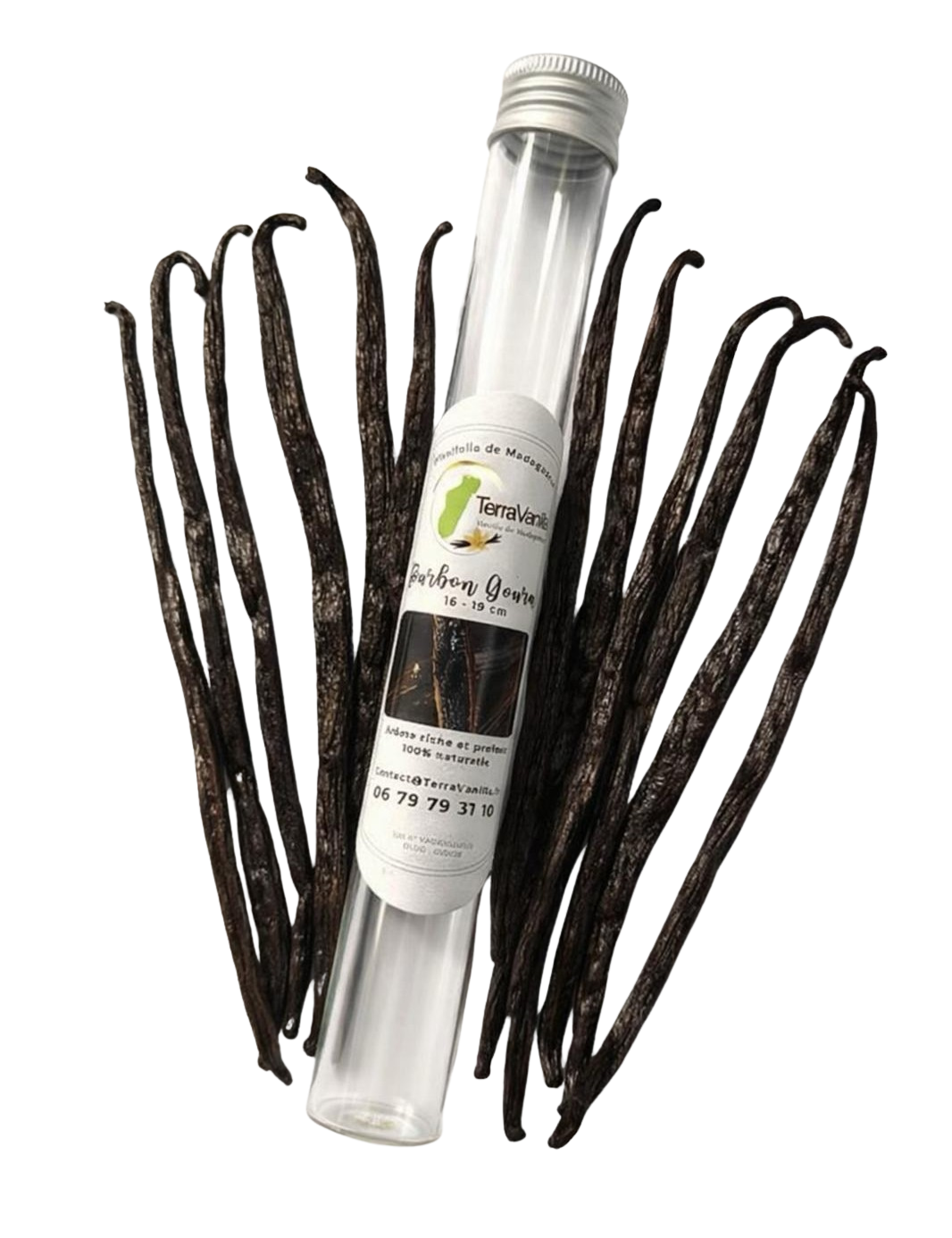 Madagascar Vanilla, Gourmet, 17-19cm, 12 Pods (Glass Tube)