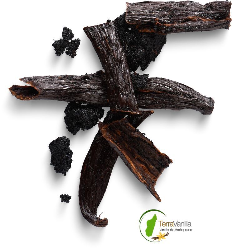 Vanilla Caviar - Vanilla Heart - Supreme Vanilla - Bourbon Vanilla from Madagascar - Vanilla Bean Extract