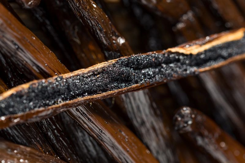 Madagascar Bourbon Vanilla Caviar (Pure Vanilla Heart) | 500 g