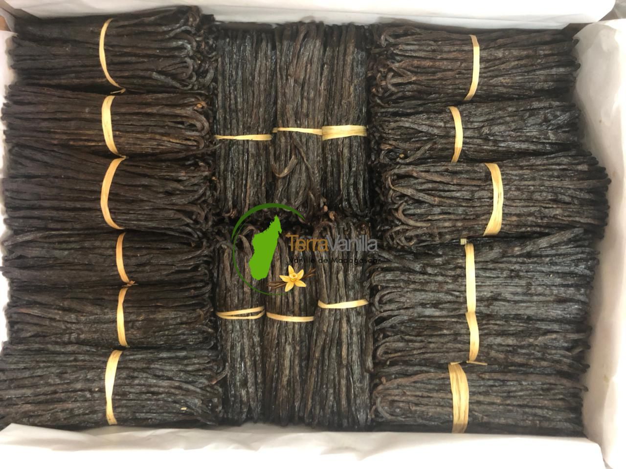 Red European Extraction Vanilla (EU) | Displayed price: per kg | PREORDER | MOQ: 25 kg | High delivery capacity