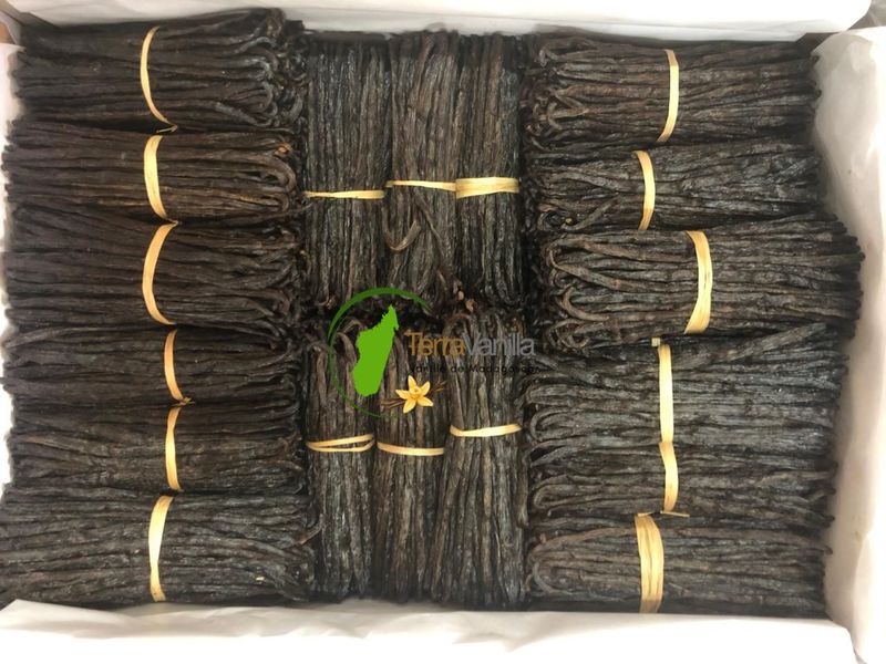 Red European Extraction Vanilla (EU) | Displayed price: per kg | PREORDER | MOQ: 25 kg | High delivery capacity