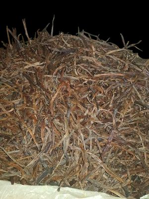 Vanille d'Extraction Cuts | Prix affiché : au kg | PRE-COMMANDE | MOQ : 25 kg | Grande capacité de livraison