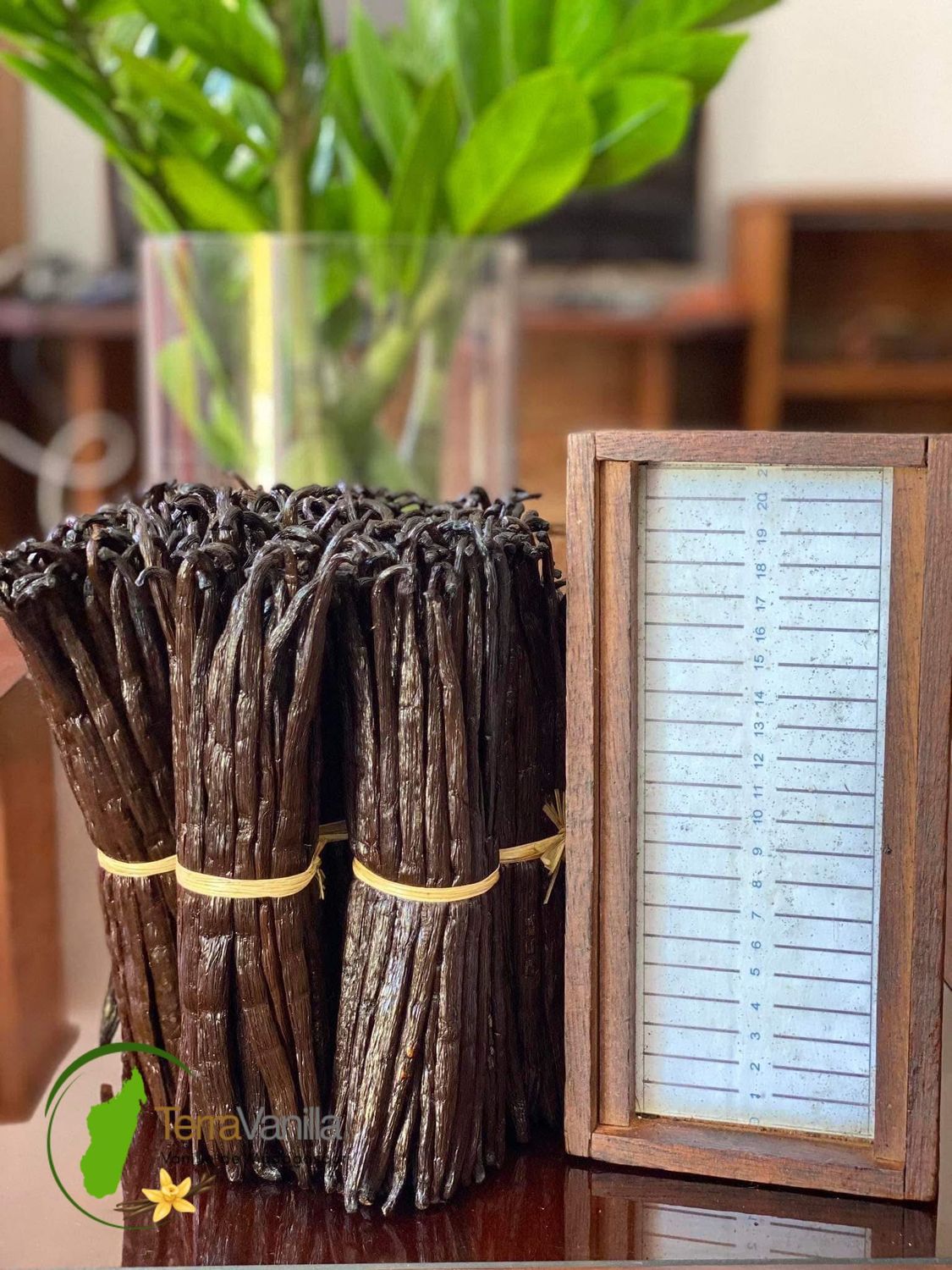 Madagascar Bourbon Vanilla - Gourmet | Sous-vide | 25 Beans