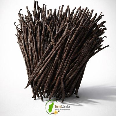 Madagascar Vanilla - Gourmet, 17-19 cm | 25 Pods