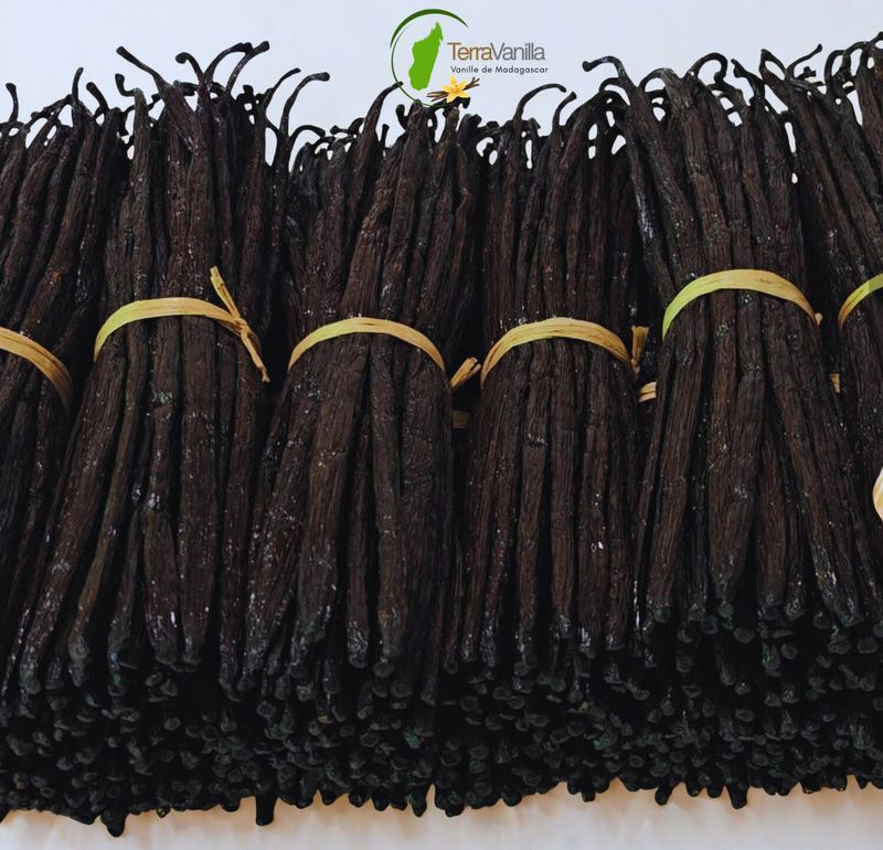 Madagascar Vanilla - Gourmet, 17-19 cm | 50 pods