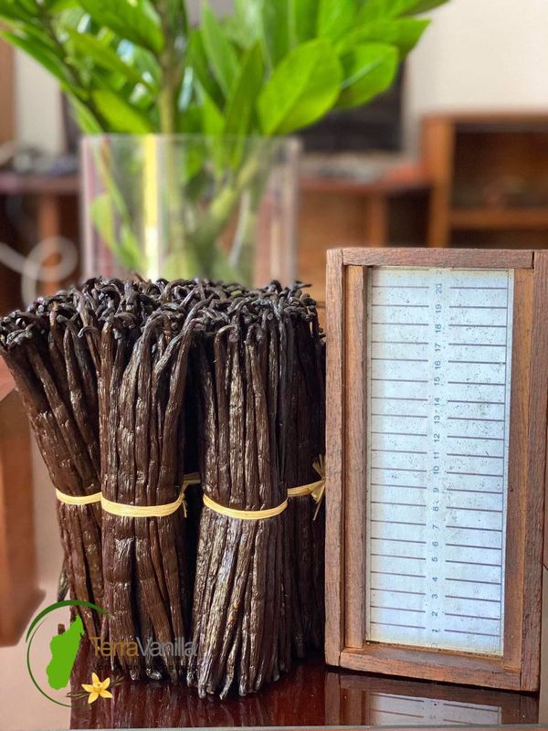 Madagascar Vanilla - Gourmet, 17-19 cm | 10 pods (vacuum-packed)