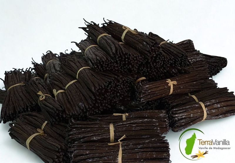 Madagascar Vanilla - Gourmet, 17-19 cm | 10 pods (vacuum-packed)