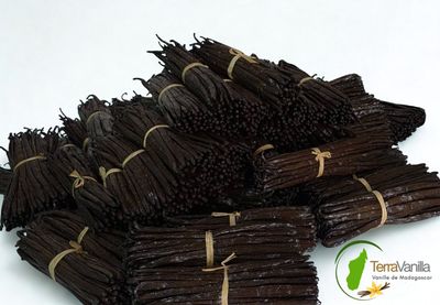 Madagascar Bourbon Vanilla - Gourmet | Sous-vide |10 Beans