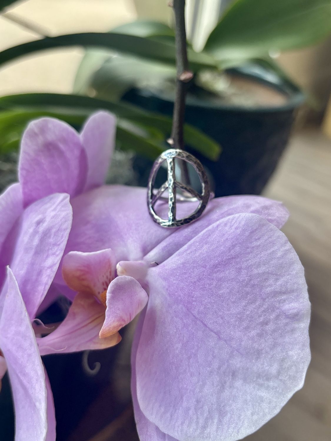 Gai Russo Peace Ring Oxidized Sterling Silver