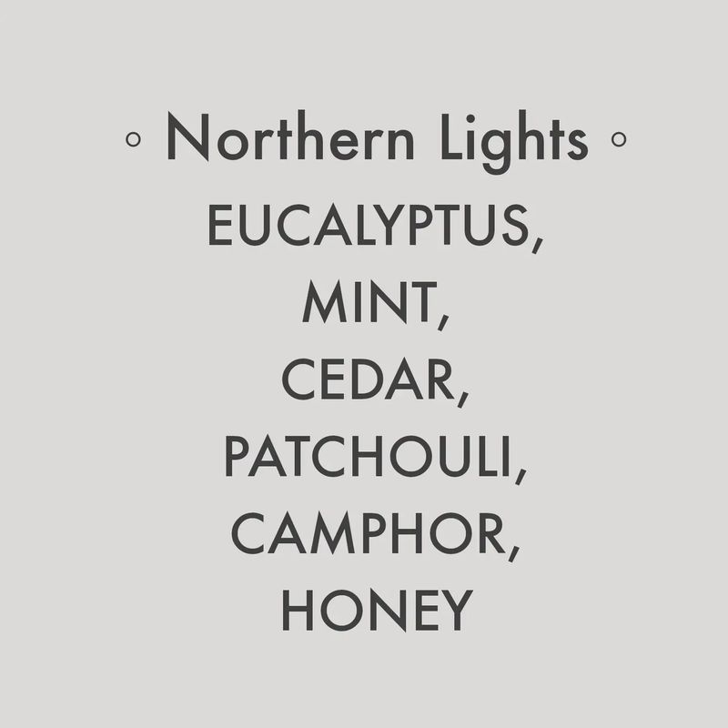 Splash N Go Farm Northern Lights Soy Candle | 8 Oz