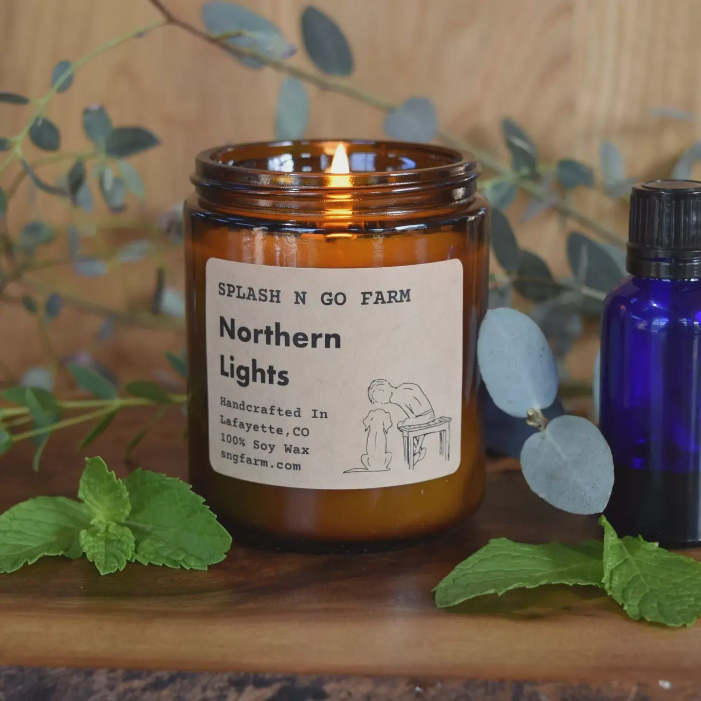 Splash N Go Farm Northern Lights Soy Candle | 8 Oz