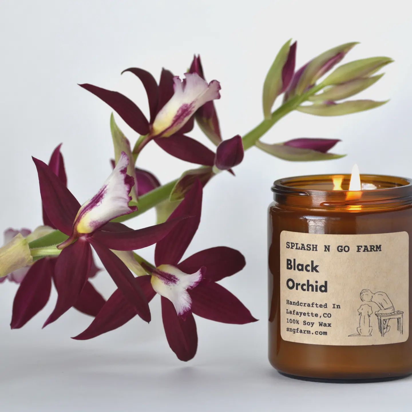 Splash N Go Black Orchid Candle