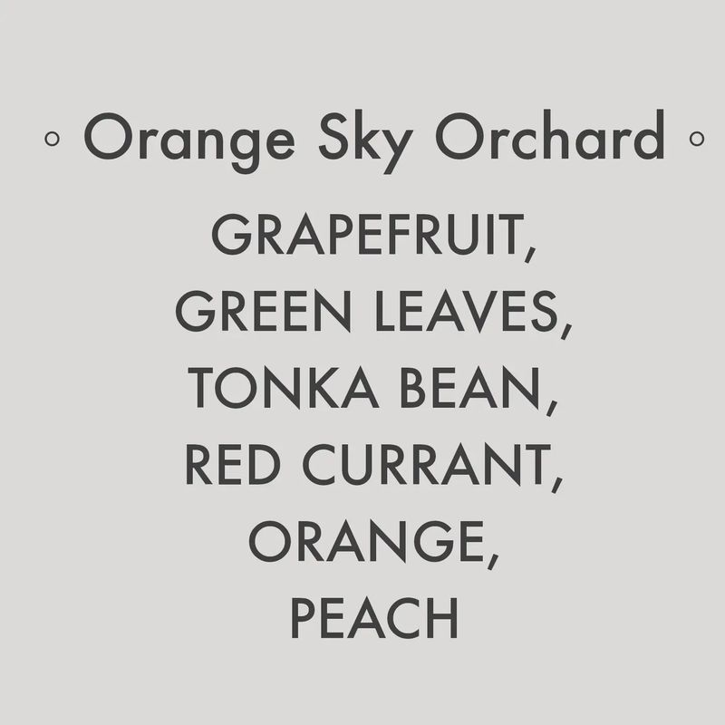 Splash N Go Farm Orange Sky Orchard Soy Candle | 8 Oz