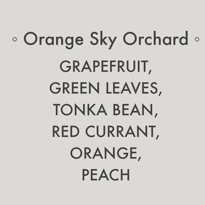 Splash N Go Farm Orange Sky Orchard Soy Candle | 8 Oz