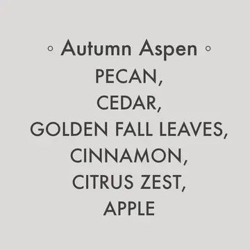 Splash N Go Autumn Aspen Candle