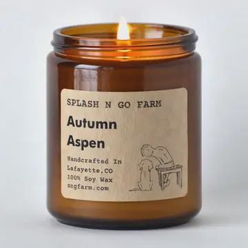 Splash N Go Autumn Aspen Candle