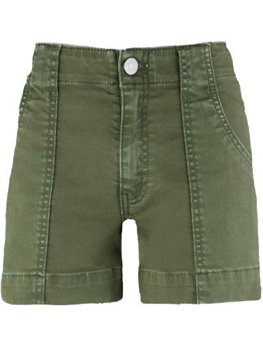 Kut From The Kloth Jane High Rise Princess Seam Shorts