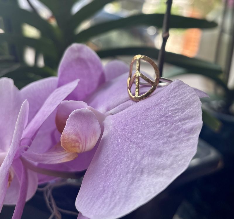 Gai Russo Peace Ring Gold Fill on Sterling Silver Shank