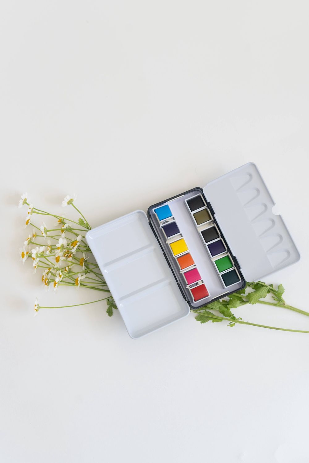 Bailey Rae Travel Watercolor